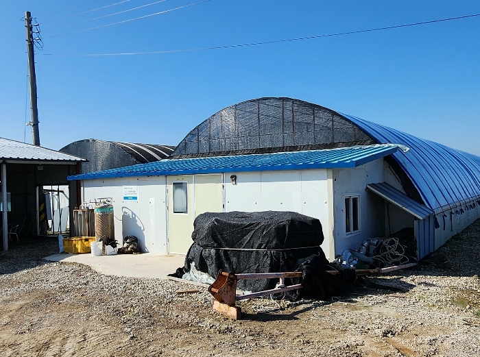 제시외 건물 ㉡
