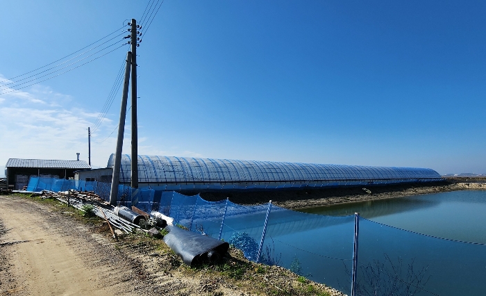 본건 토지상의 비닐하우스 양식장