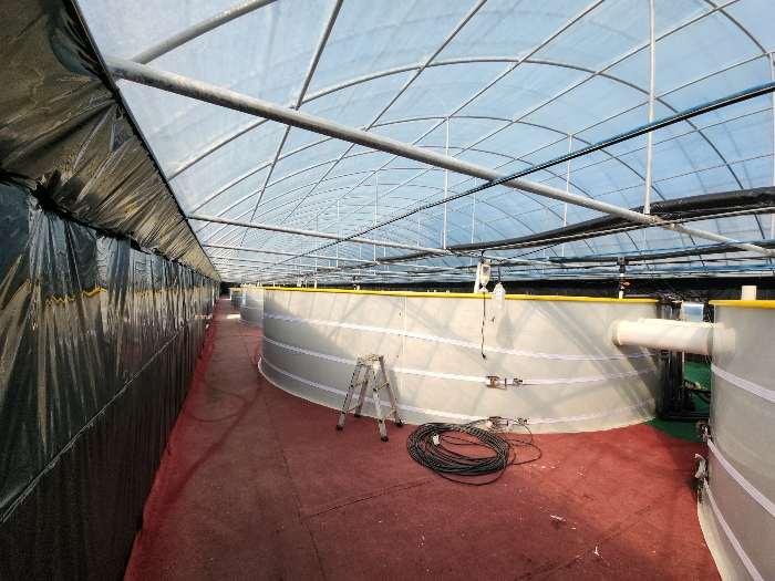 본건 토지상의 비닐하우스 양식장 내부