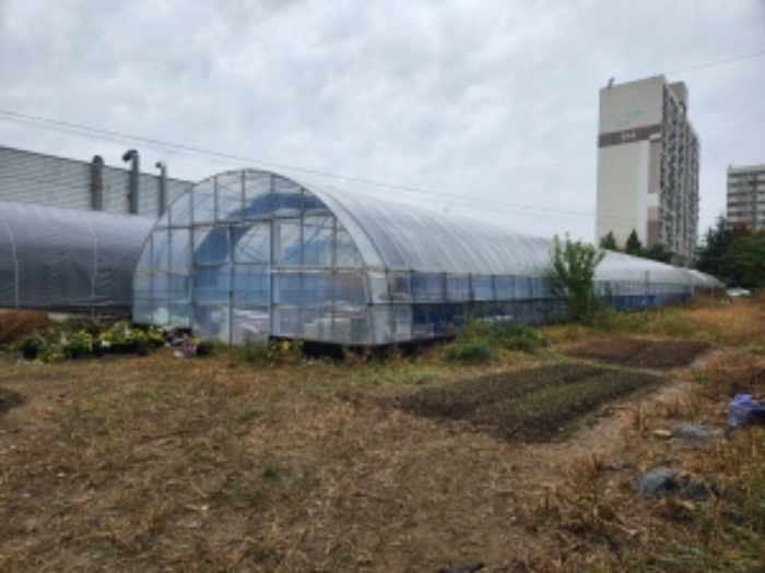 제시외 비닐하우스1