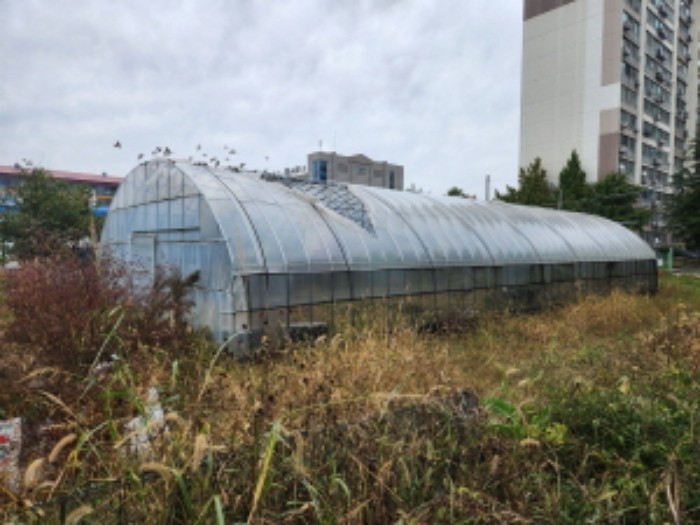 제시외 비닐하우스2