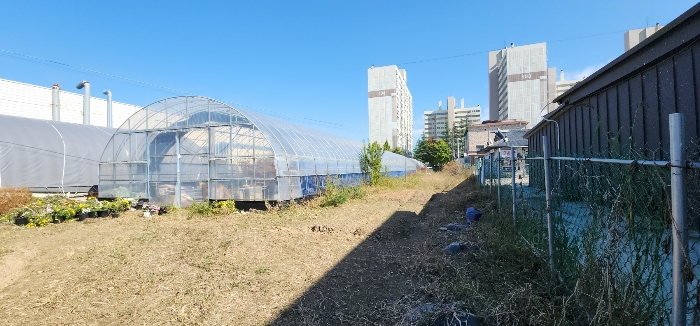 본건 토지상의 비닐하우스