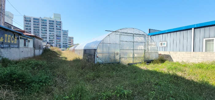 본건 토지상의 비닐하우스