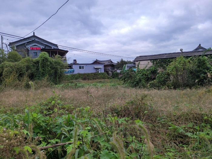 본건전경(기호4