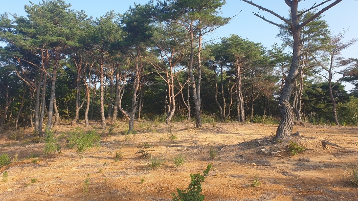 본 건 기 호 (4,5) 전 경