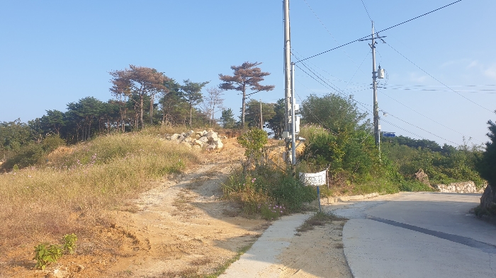 본 건 진 입 도 로 전 경