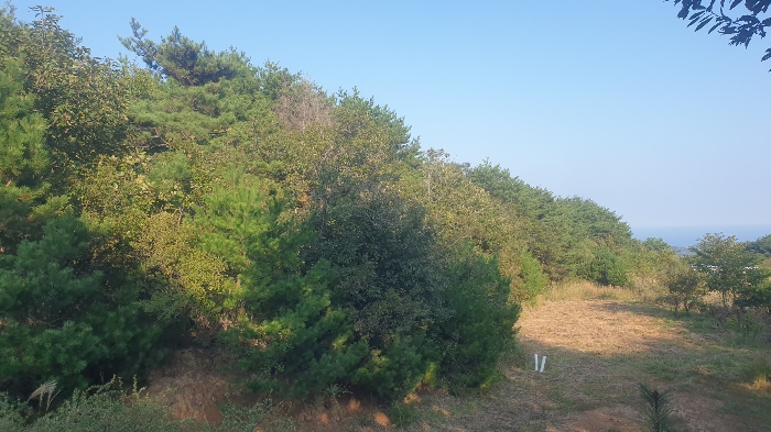 본 건 기 호 (2-4) 남 서 측 전 경