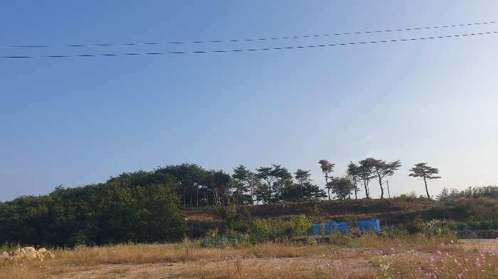 본 건 기 호 (1-5) 북 측 전 경