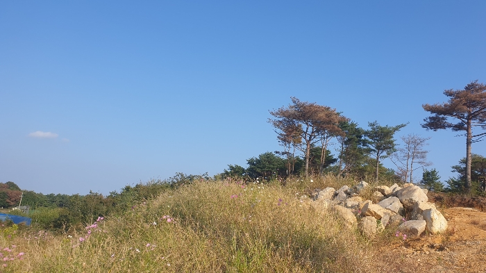 본 건 기 호 (1) 전 경