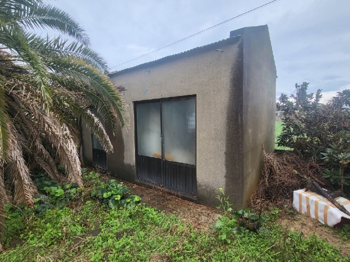 제시외 건물(ㅁ