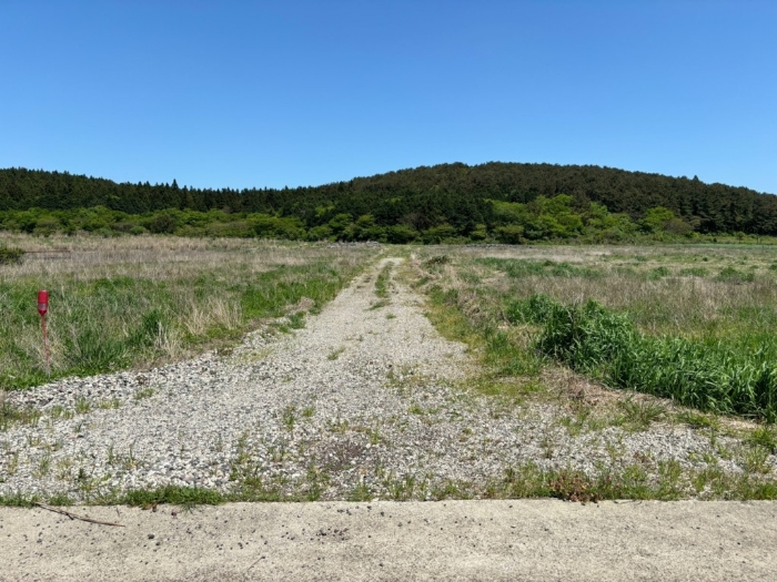 대상물건(일련번호 1,2) 전경