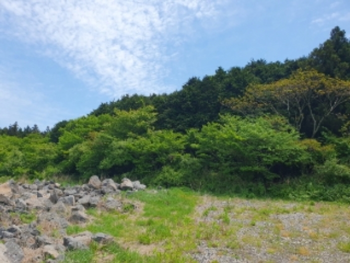 소재지2.(교래리 409-7) 전경