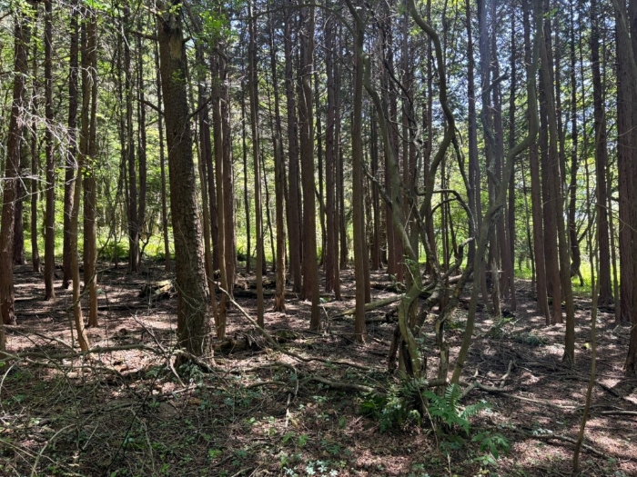 대상물건(일련번호 2) 전경