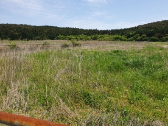 소재지1.(교래리 409-3) 전경