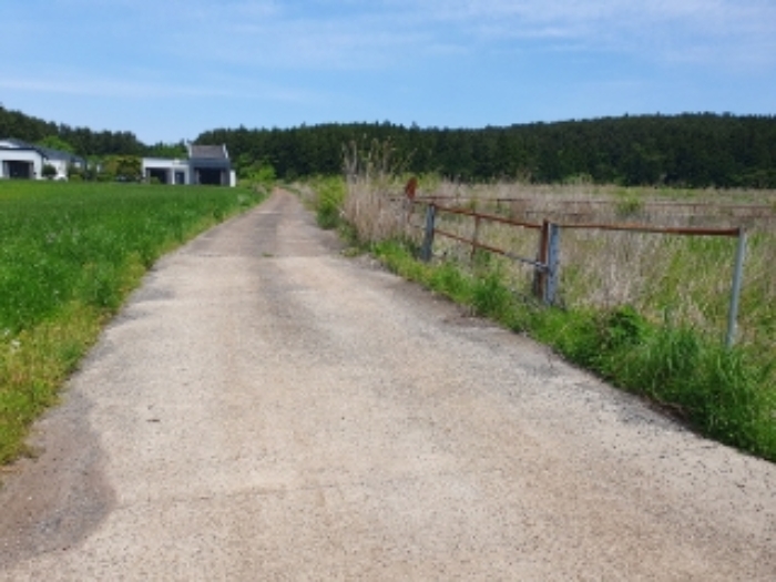 소재지1.(교래리 409-3) 인접 도로 전경