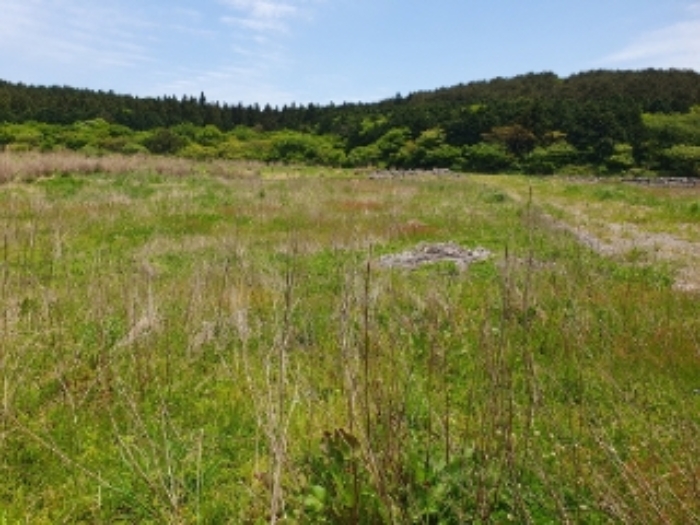 소재지2.(교래리 409-7) 전경