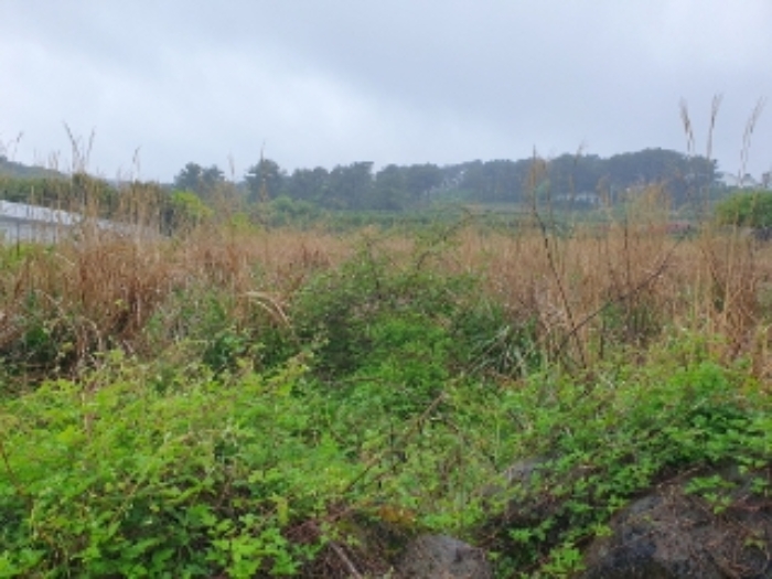 본 건(서홍동 2284-5) 