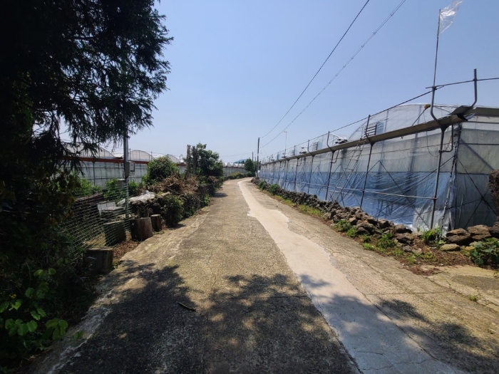 접면도로 및 주위환경