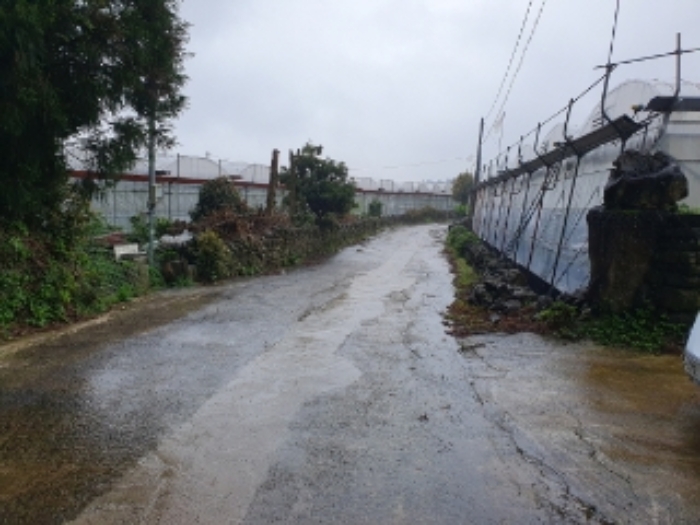 본 건(서홍동 2284-5) 인접 도로 전경