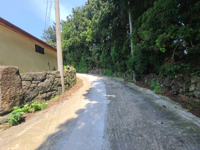 접면도로 및 주위환경