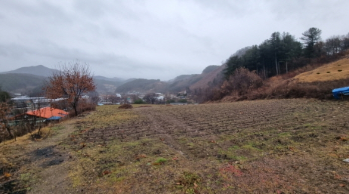 목록 1. 토지(진입로에서 본 모습)