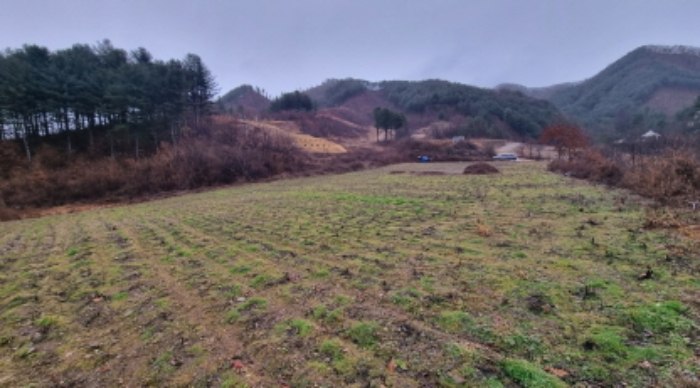 목록 1. 토지(안쪽에서 진입로쪽을 본 모습)