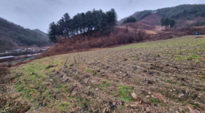 목록 2. 토지(사진 중앙 좌측부분)