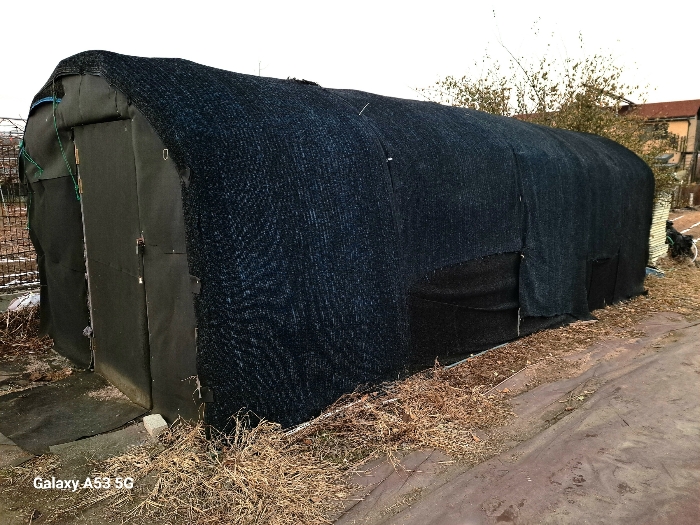 제시외 건물(ㄴ