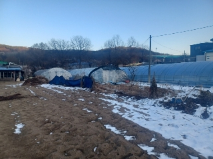 비닐하우스동 앞