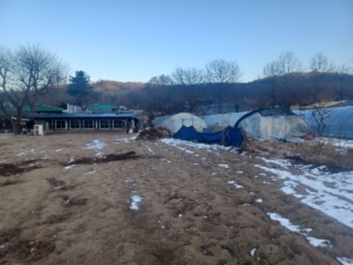 비닐하우스동 앞