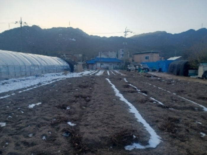 본건제3번토지(