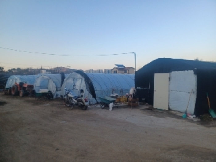 유씨종중땅위에 