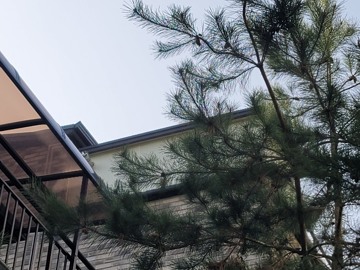 제시외 건물 ㄹ