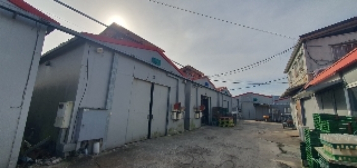 본건 지상 제시