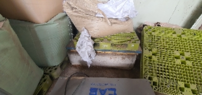 본건 지상 제시