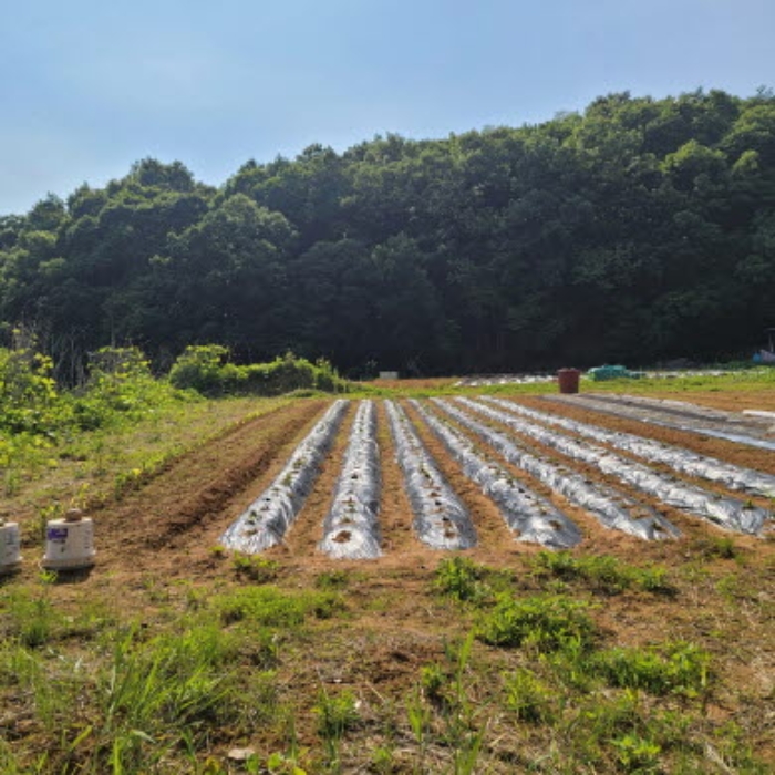 목록3 토지 전경