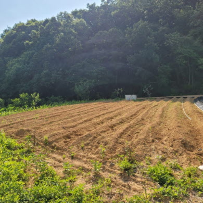 목록4 토지 전경