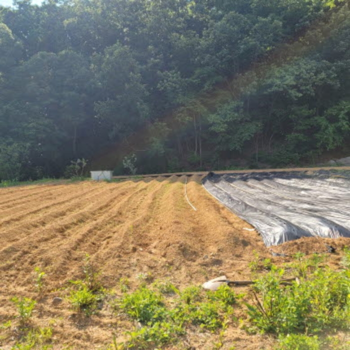 목록4 토지 전경