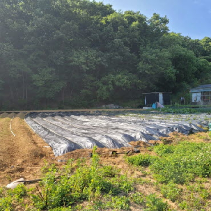 목록4 토지 전경