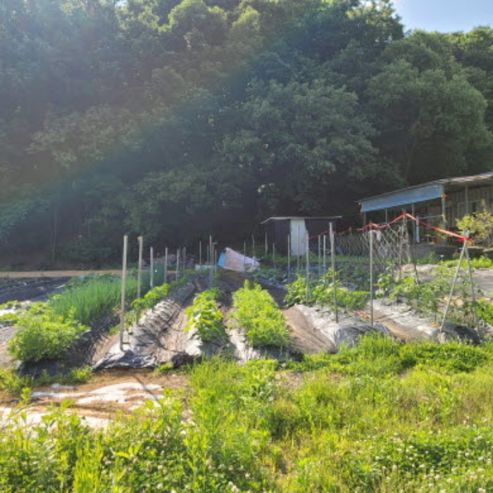 목록6 토지 전경