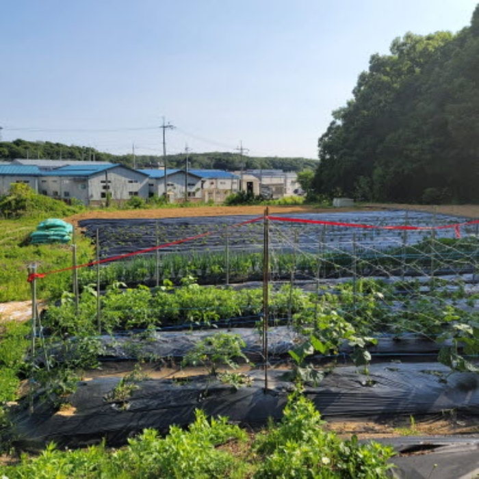 목록6 토지 전경