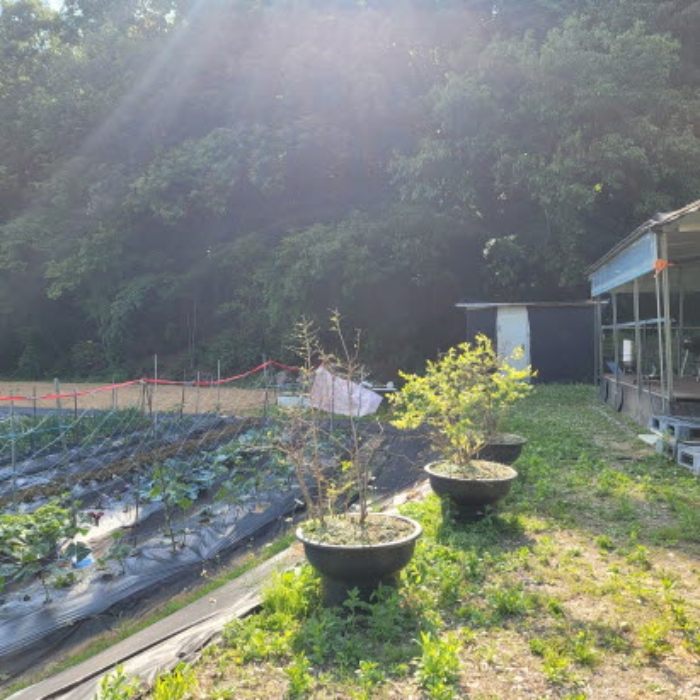 목록6 토지 전경