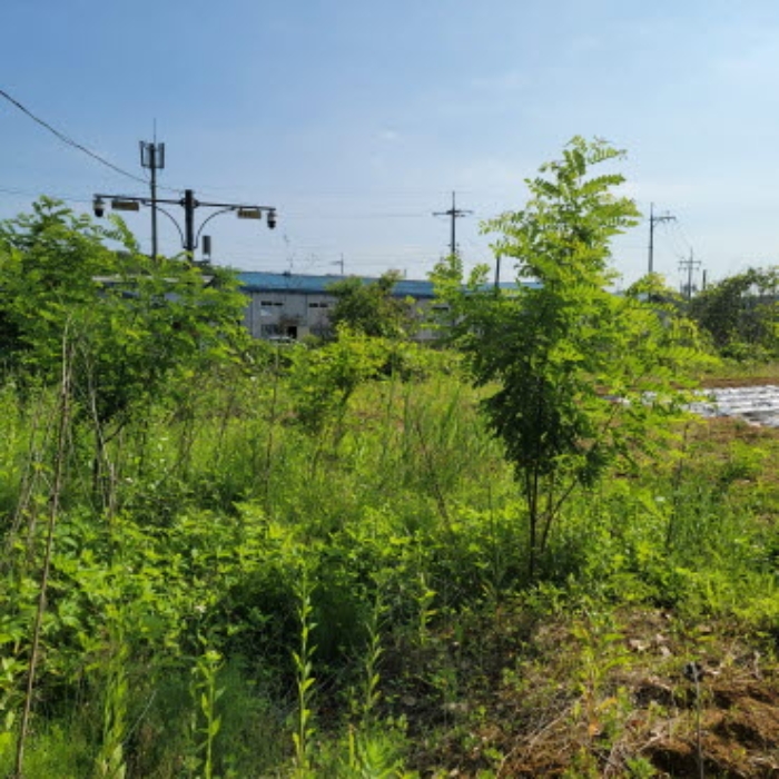 목록3 토지 전경