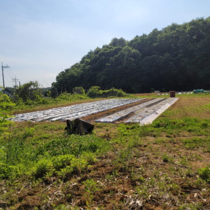 목록3 토지 전경