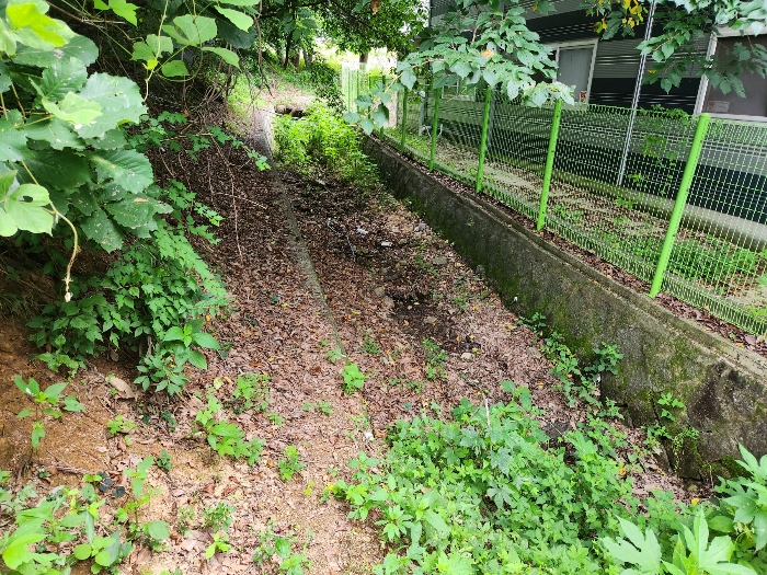 본건 소재 구거