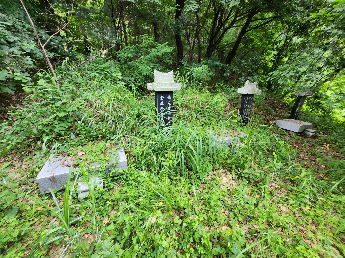 본건 소재 분묘