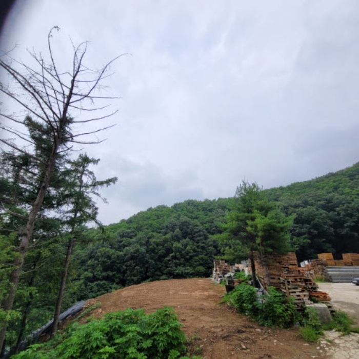 본건 토지 전경