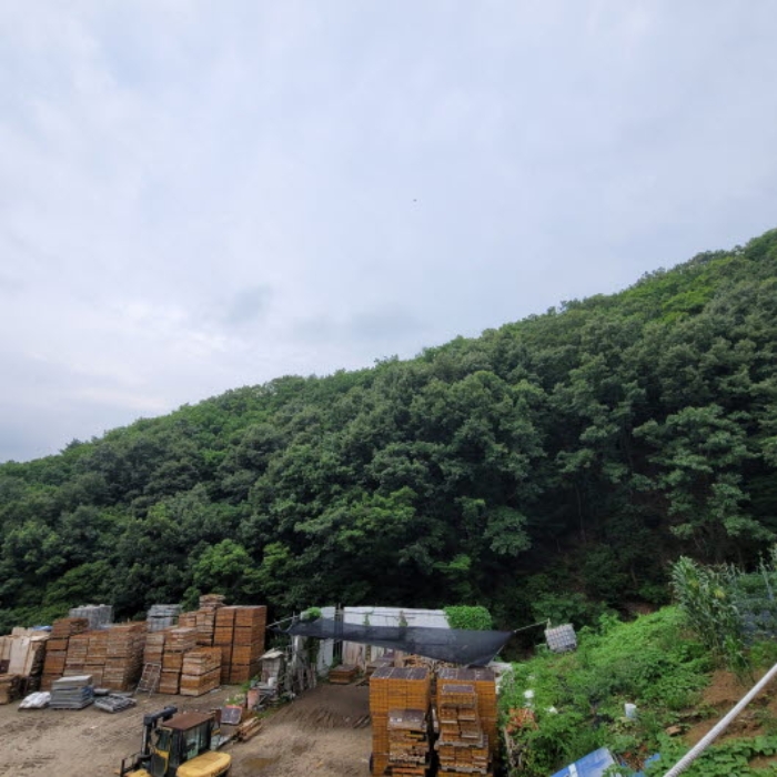 본건 토지 전경