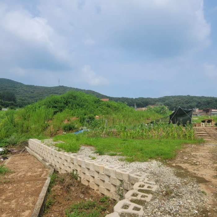 목록5 토지 전경