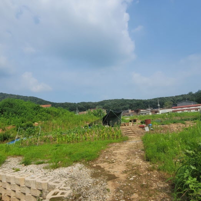 목록5 토지 전경